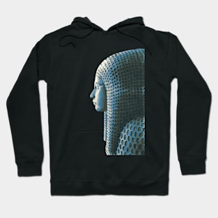 Egyptian wooden coffin Hoodie